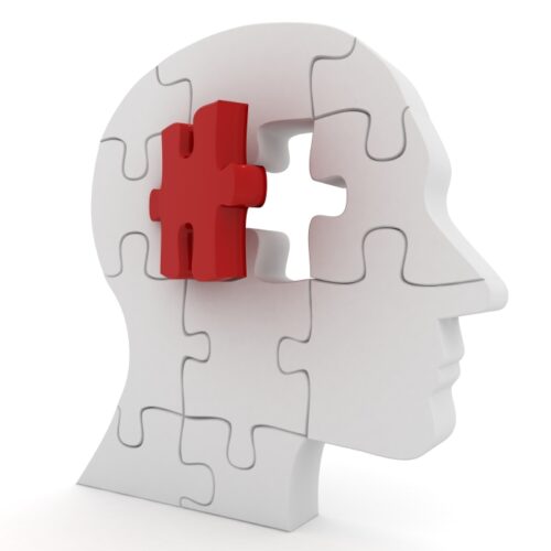 iStock_000014030472Small - jigsaw brain iStock_000014030472Small - jigsaw brain